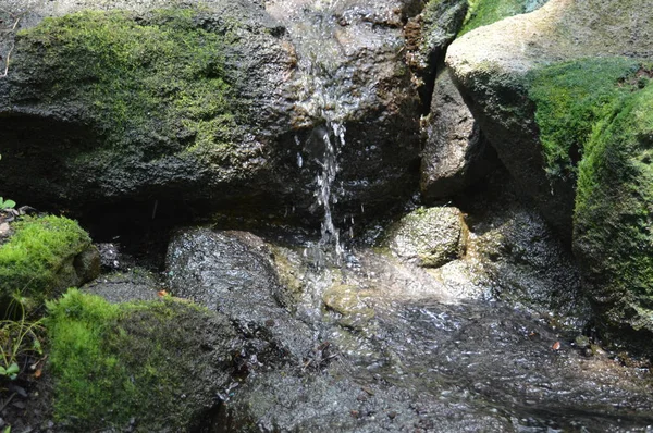 Uma Pequena Cachoeira Nas Rochas — Fotografia de Stock