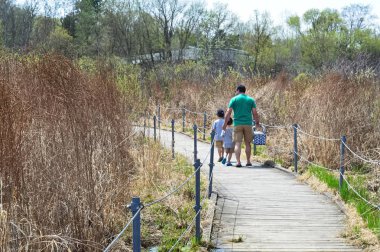 Saint Paul, Minnesota-Mayıs 2018: Baba ve iki oğlu tahta üzerinde bahar döneminde yürüyüş.