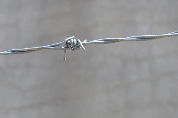 Barb Ett Taggtrådsstängsel — Stockfoto