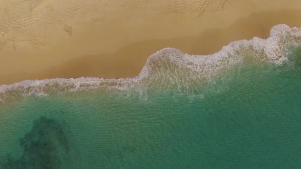 Воздушный Гавайский пляж, пролетающий над волнами — стоковое видео