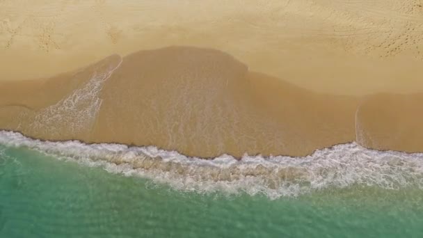 Plage aérienne d'Hawaï survolant les vagues 