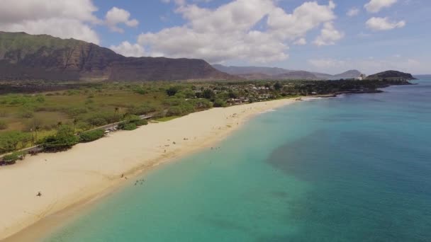Aerial Makaha Beach Park Oahu — Stockvideo