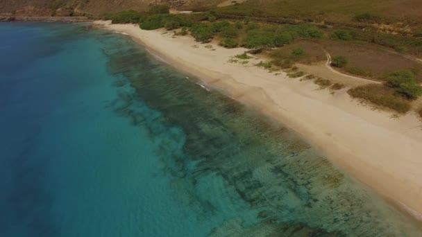 Aerial Makua Beach sand and waves — Stock Video