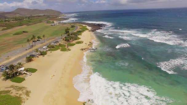 Antenowe piaszczysta plaża Oahu — Wideo stockowe