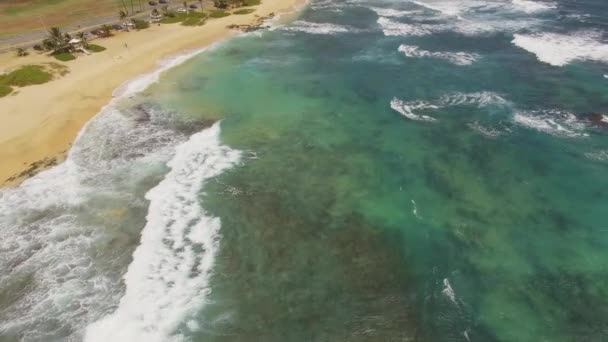 Antenowe piaszczysta plaża Oahu — Wideo stockowe