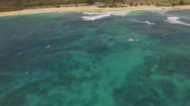  Hava Sandy Beach Oahu