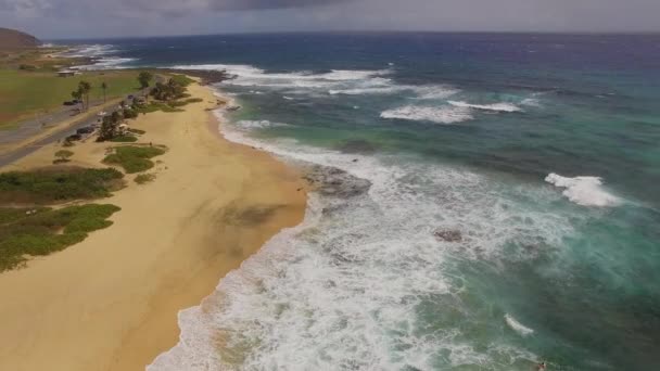 Letecká Sandy Beach Oahu — Stock video