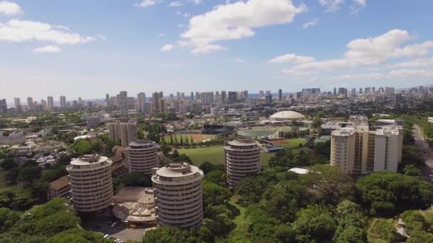 Aerial University of Hawaii at Manoa — Stock Video