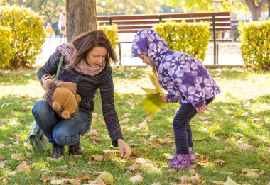 Parkta anneden toplanan meşe palamutları küçük kız ile sonbahar yaprakları