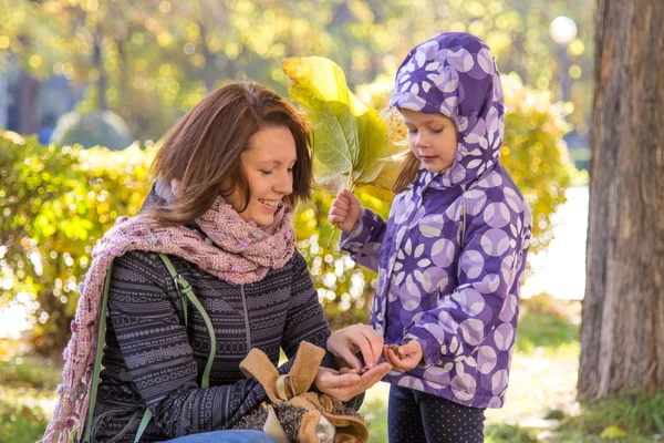 Little girl with autumn leaves with her mother believes gathered acorns in the park — Stock fotografie