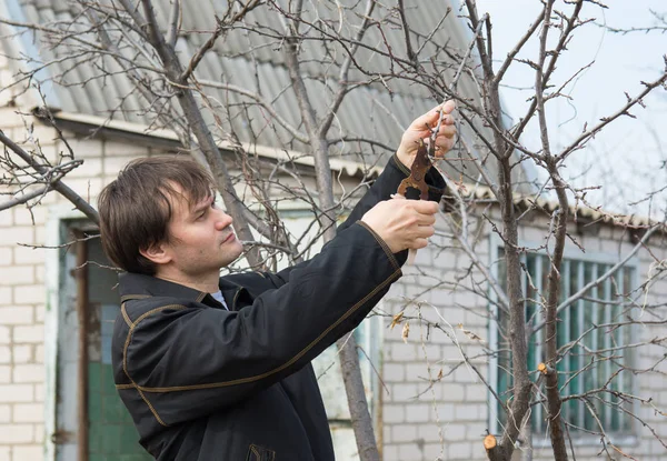 Un hombre cerca de su casa poda árboles frutales — Foto de Stock