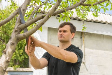 Adam onların yazlık, ağaçlar meyve büyük bir şube kapalı testereleri