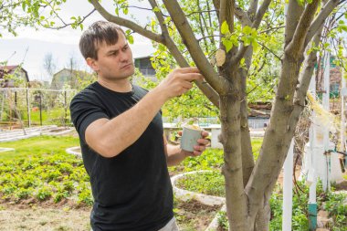 Adam muamele etmek onların yazlık bahçe pitch sawed odun kesmek