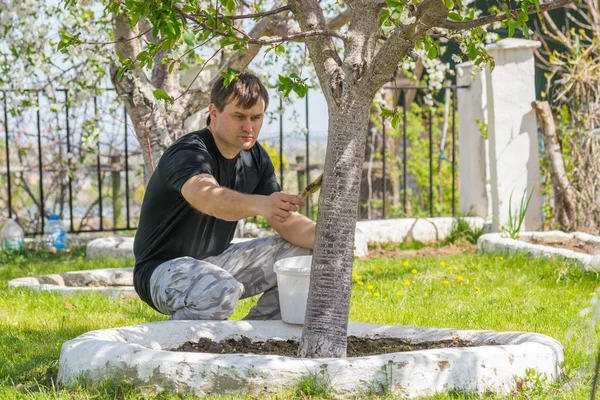 Los procesos masculinos encalan troncos de árboles frutales en la casa de campo de verano — Foto de Stock