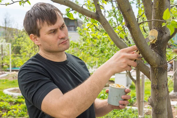 El hombre trata la parcela de jardín de madera aserrada en su casa de verano — Foto de Stock