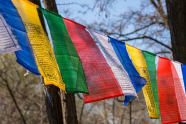 Volgograd. Rusya-28 Nisan 2017.Molitvennye bayrakları dostluk Parkı: Volgograd - Volgograd Central Park'ta Bakıda