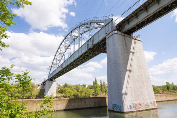 Kozgu oldida mushukni yoyish