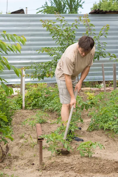 Bir adam çim rake arsa üzerinde toplar.