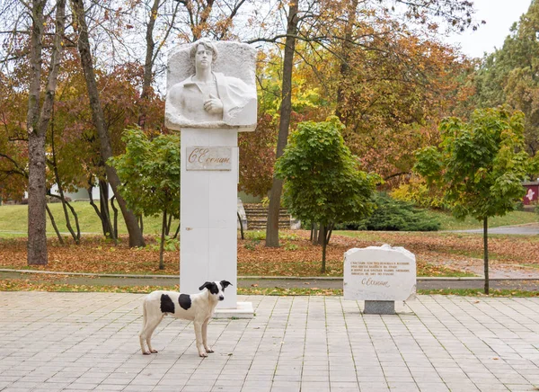 Krasnodar. Ryssland - 26 oktober 2017. Monument till Sergei Yesenin i parken underhållning ”Sunny Island” i Krasnodar — Stockfoto
