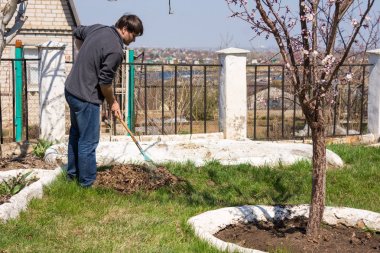 Bir adam eski yaprakları yaz yurdunda bir çimenlikte kesintiler
