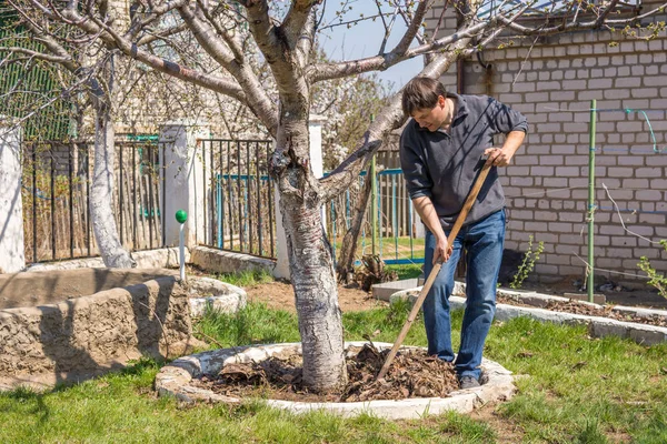 Bir adam bir yazlık bir ağaçta yakınındaki eski yeşillik kesintiler