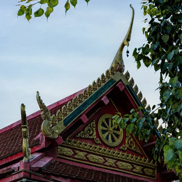 Detalj Nybyggd Buddist Cheng Tse Temple Med Intrikat Snidade Och — Stockfoto