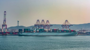 İskele tarafındaki vinçler Qingdao Qianwan konteyner terminalindeki konteyner gemisiyle transferi gerçekleştirir..