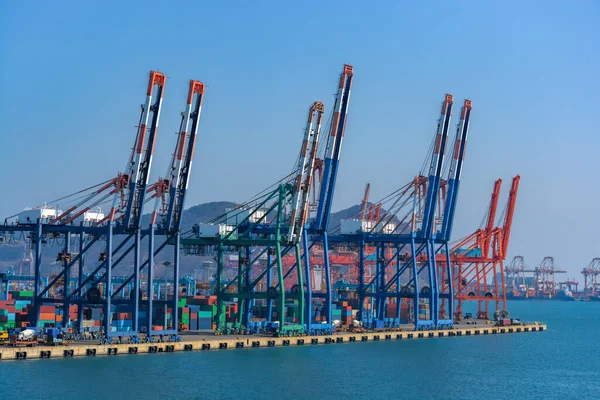 Portalkräne Auf Containerterminal Pfeilern Busan Südkorea — Stockfoto