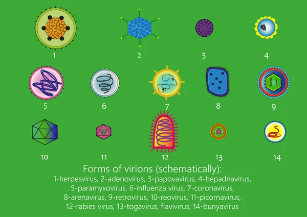 Formas Viriones Esquemáticamente — Archivo Imágenes Vectoriales