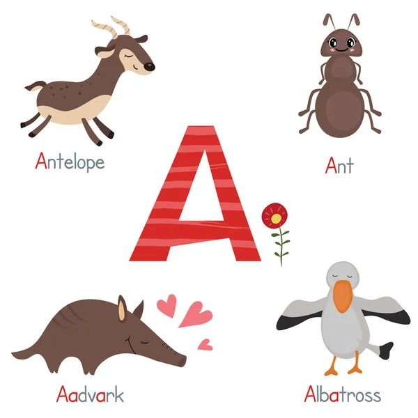 Roztomilý zoo abeceda — Stockový vektor