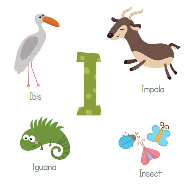 Niedliches Zoo-Alphabet — Stockvektor