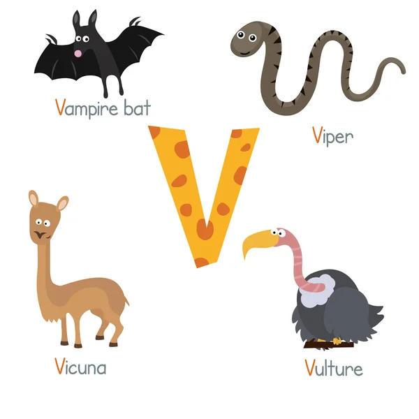 Lindo alfabeto del zoológico — Archivo Imágenes Vectoriales