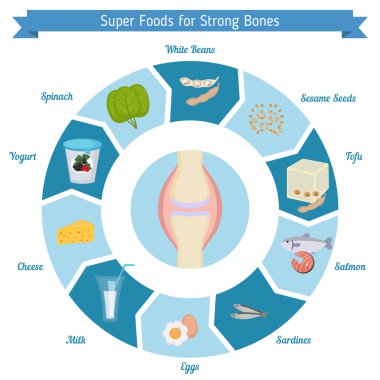 Güçlü kemikler gıdalar infographics