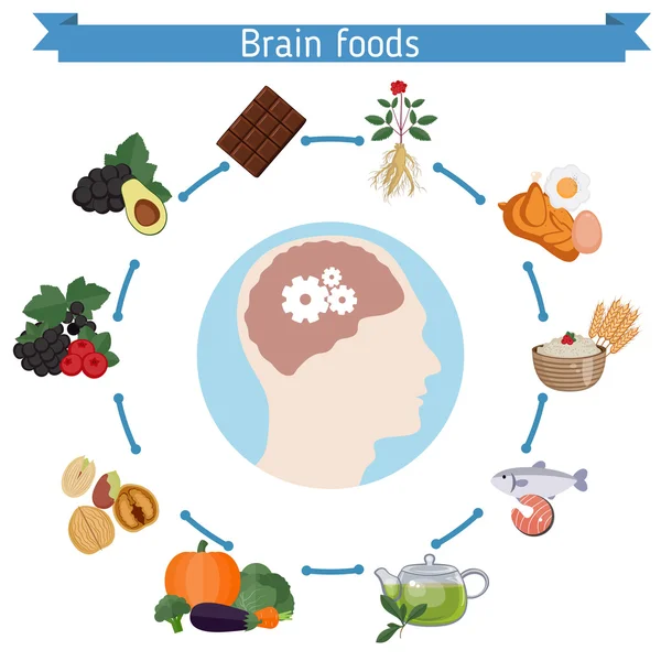 मस्तिष्क खाद्य इन्फोग्राफिक्स — स्टॉक वेक्टर