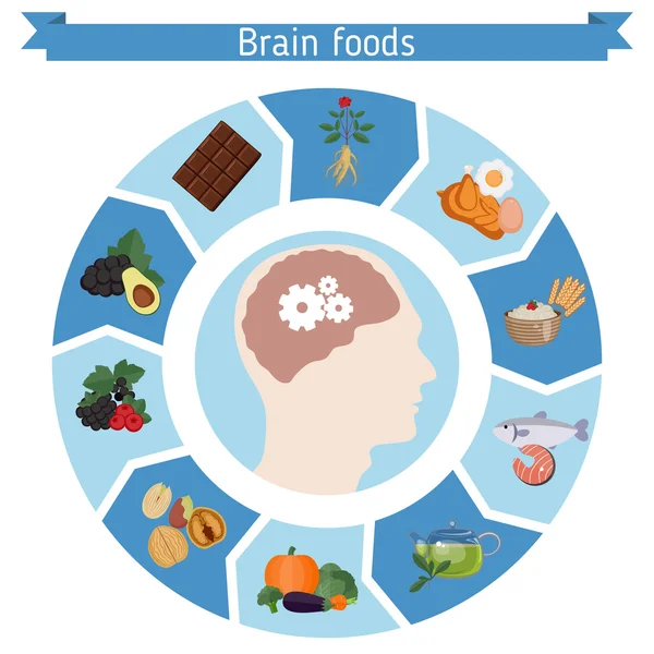 Brain potraviny infografika — Stockový vektor