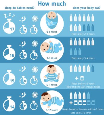 Bebek infographics. Besleme ve bebek uyku.