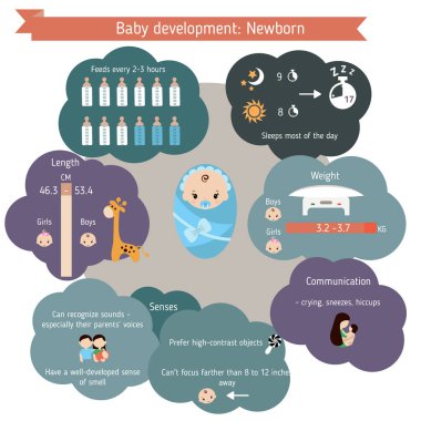 ?Hild geliştirme infographics