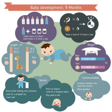 ?Hild geliştirme infographics