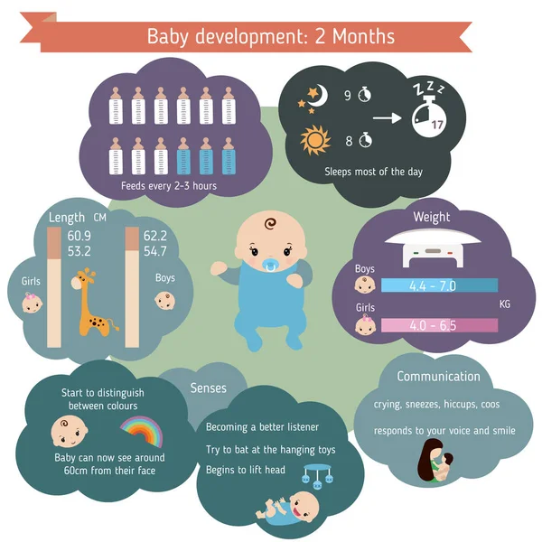 ?Hild rozvoj infografika — Stockový vektor