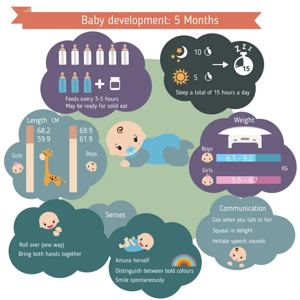 ?hild infográficos de desenvolvimento — Vetor de Stock