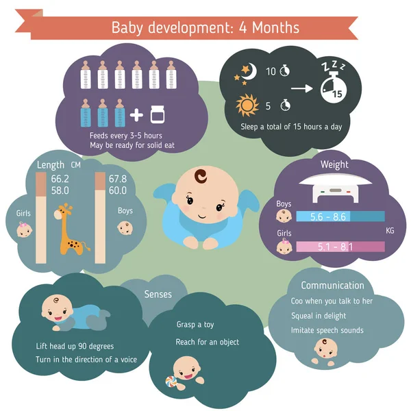 ?Hild rozwoju infografiki — Wektor stockowy