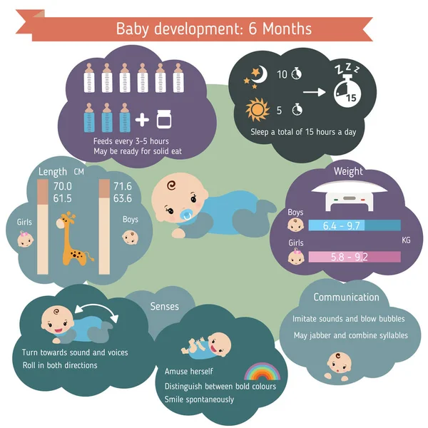 ?hild infographies de développement — Image vectorielle