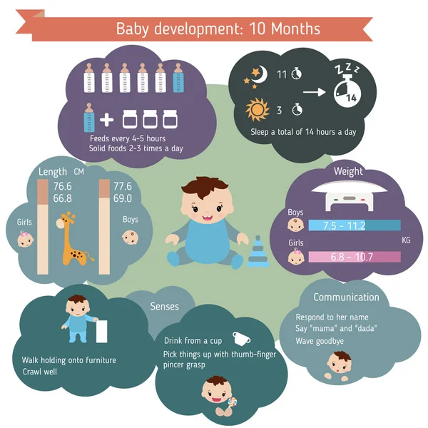 ?hild infográficos de desenvolvimento — Vetor de Stock