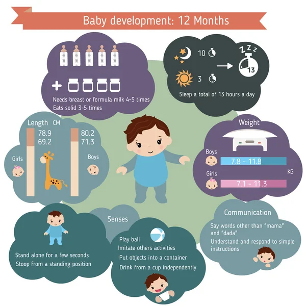 ?Hild geliştirme infographics — Stok Vektör