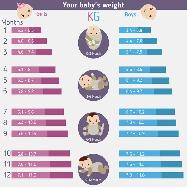 ?hild infografica di sviluppo — Vettoriale Stock