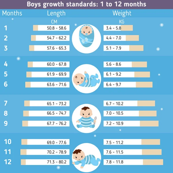 ?Hild rozvoj infografika — Stockový vektor