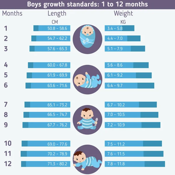 ?Hild geliştirme infographics — Stok Vektör