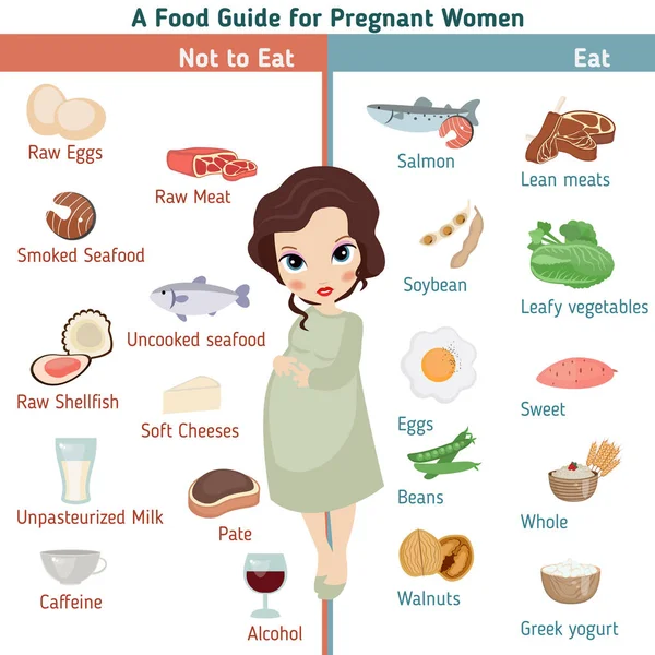 Infographic van de zwangere vrouw — Stockvector