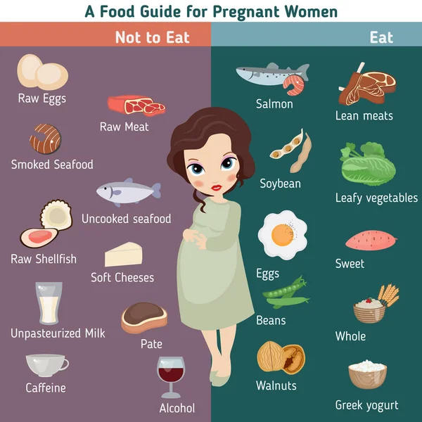 Schwangere Frau Infografik — Stockvektor