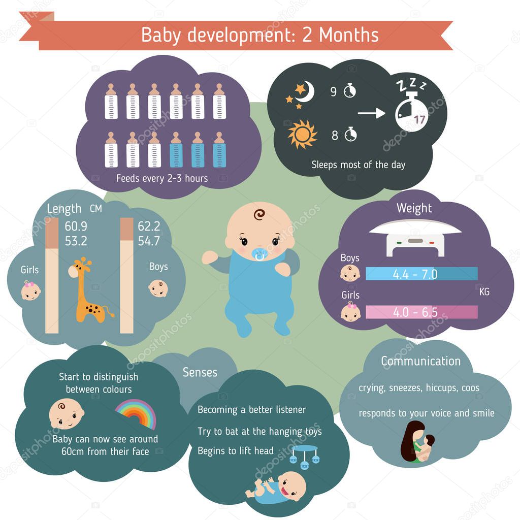 ?hild development infographics